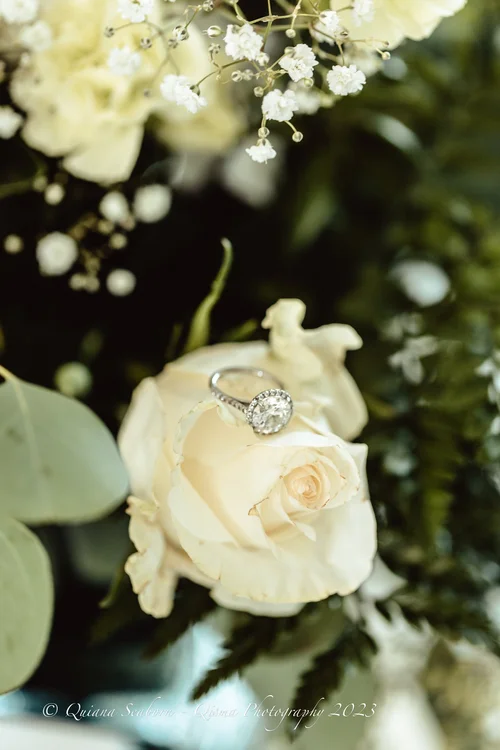 Engagement ring resting on a cream rose